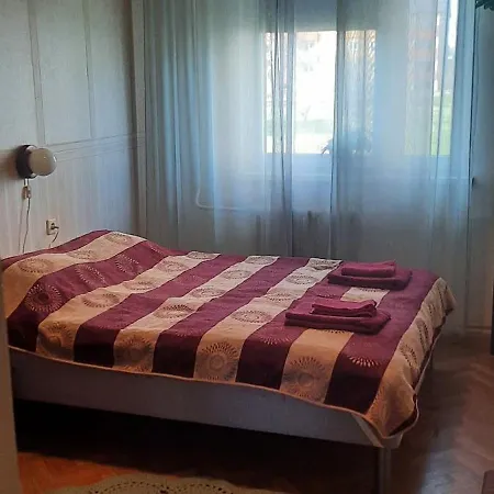 Retrohonguline Korter Polvas Apartment Polva